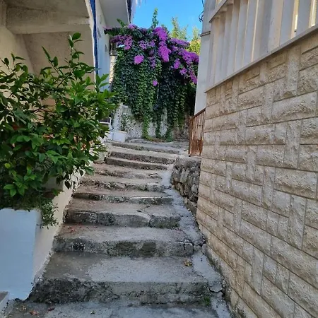 House Bedem Marina